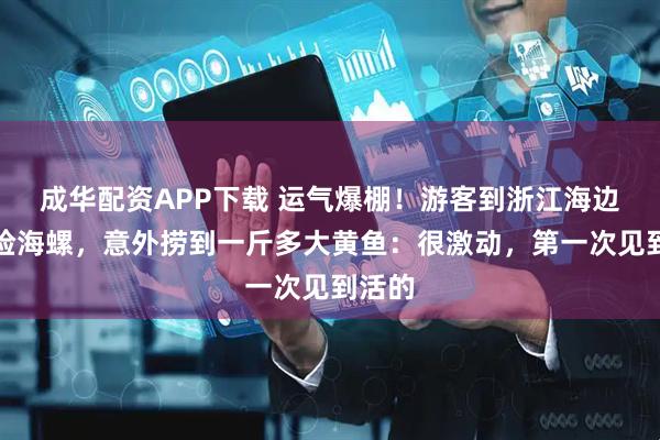 成华配资APP下载 运气爆棚！游客到浙江海边赶海捡海螺，意外捞到一斤多大黄鱼：很激动，第一次见到活的